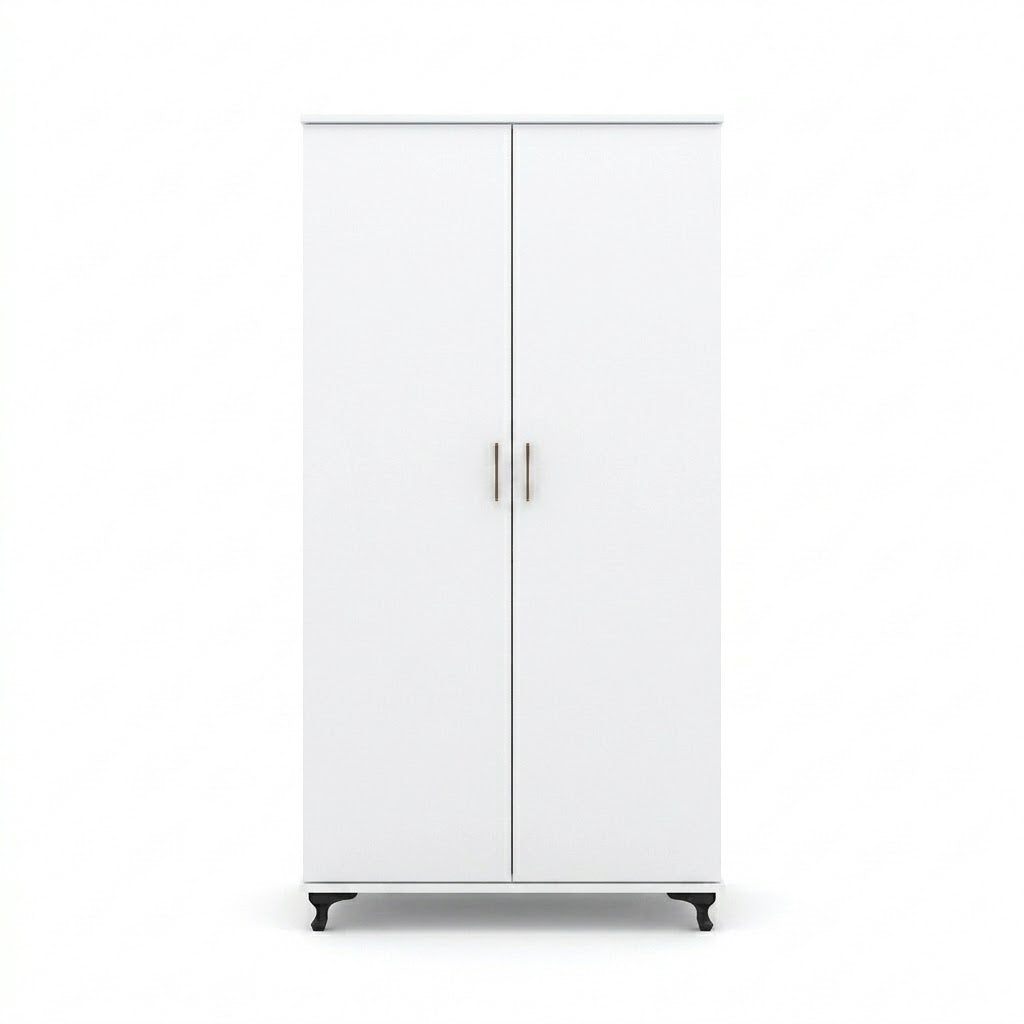 Modern Two-Door Bedroom Wardrobe with Spacious Storage Design