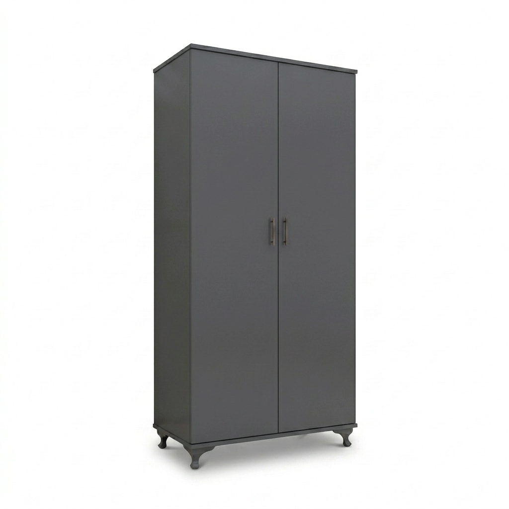 Modern Two-Door Bedroom Wardrobe with Spacious Storage Design