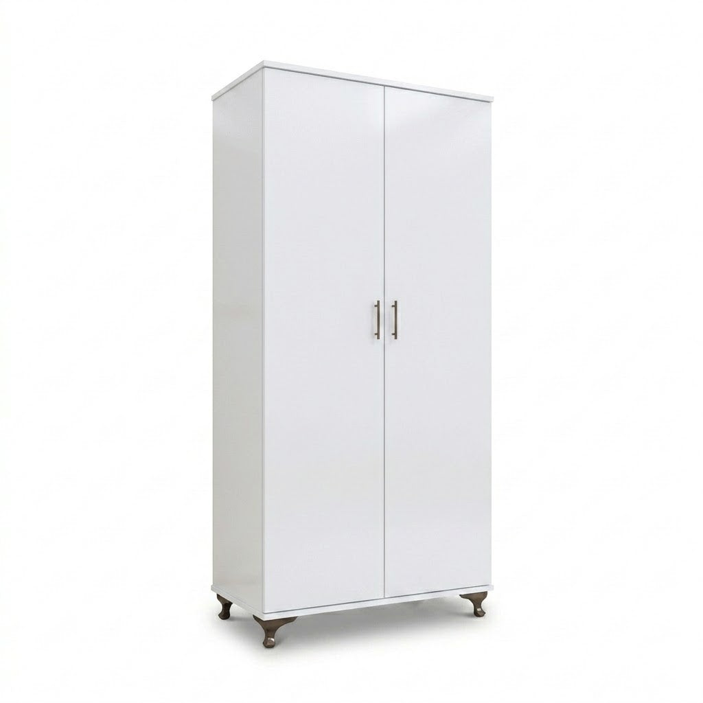 Modern Two-Door Bedroom Wardrobe with Spacious Storage Design